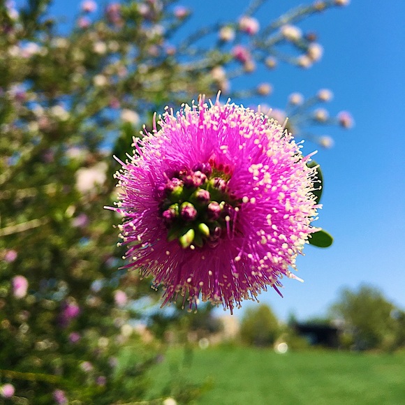 Meet your Posher, Charles - Picture 1 of 1